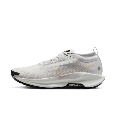 Nike Pegasus Trail 5 GORE-TEX FQ0908-010