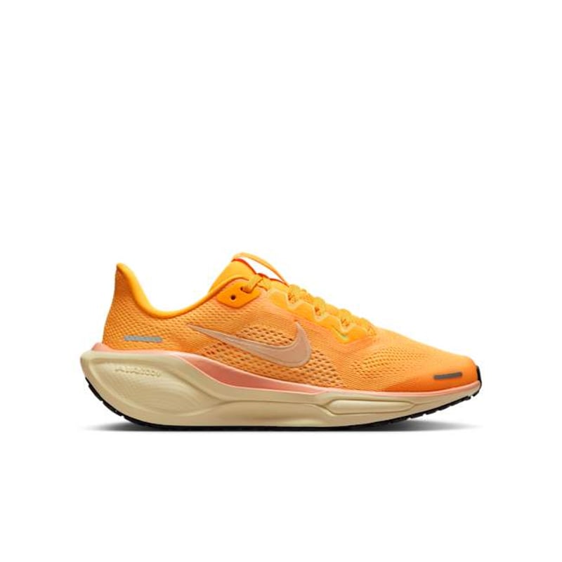 Nike Pegasus 41 FN5041-801 03