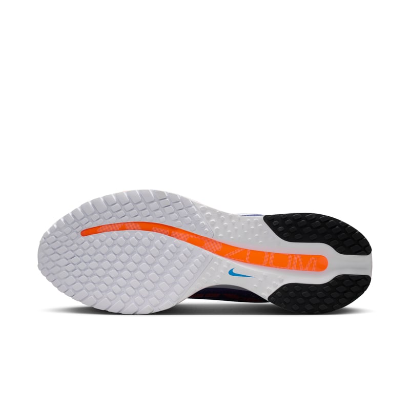 Nike Pegasus Premium HQ2592-400 02