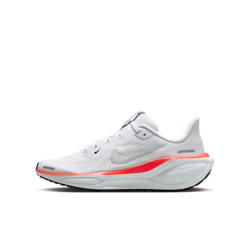 Nike Pegasus 41 FN5041-108 01