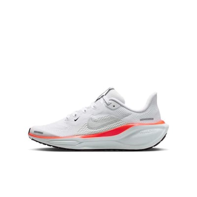 Nike Pegasus 41 FN5041-108