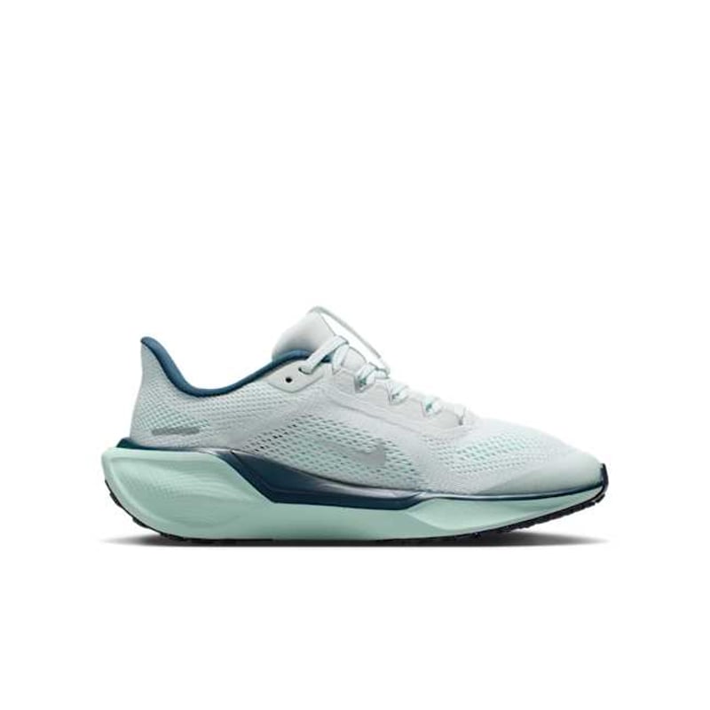 Nike Pegasus 41 FN5041-404 03