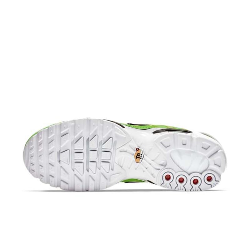 Nike Air Max Plus Premium 815994-300 02