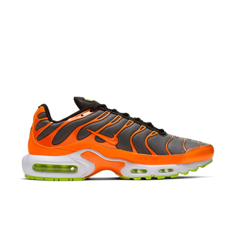 Nike Air Max Plus CI5924-061 03
