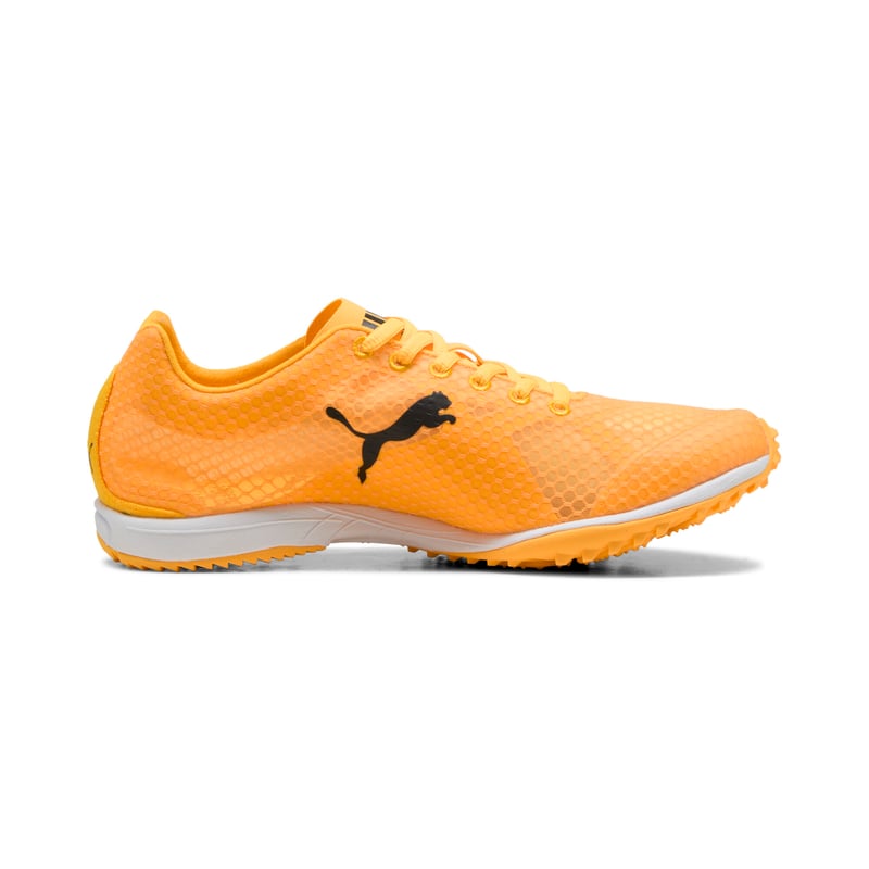 PUMA evoSPEED Haraka 8 311858-01 03