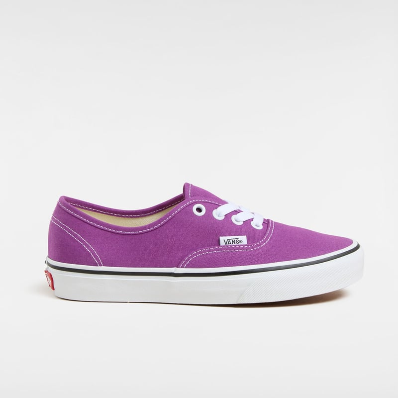 Vans Authentic Color Theory VN000D6GE2T 01