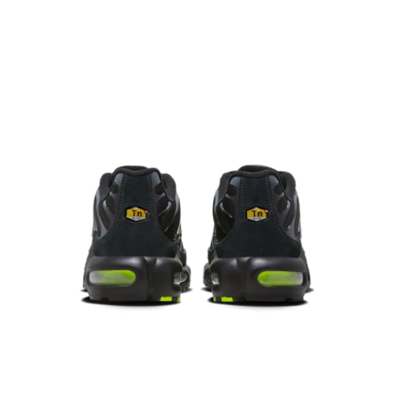 Nike Air Max Plus FQ2381-001 06