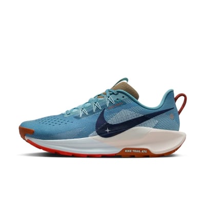 Nike Pegasus Trail 5 DV3864-402