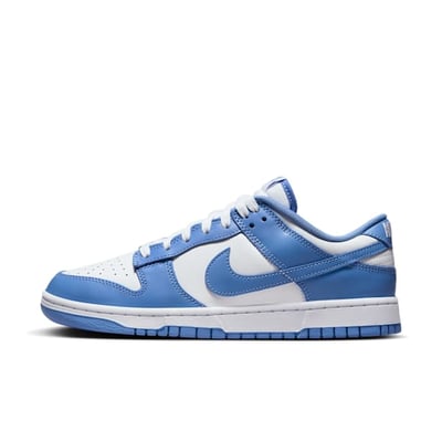 Nike Dunk Low Retro DV0833-400