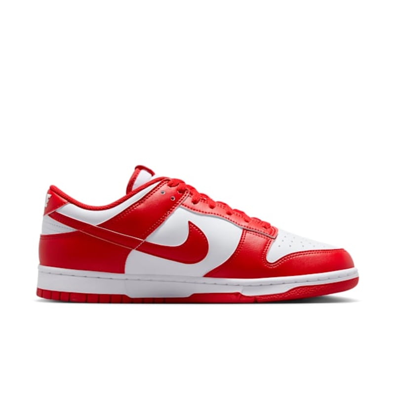 Nike Dunk Low HF5441-104 03