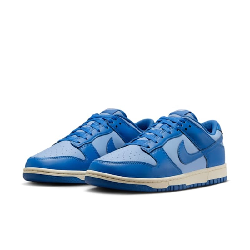 Nike Dunk Low HF5441-400 05