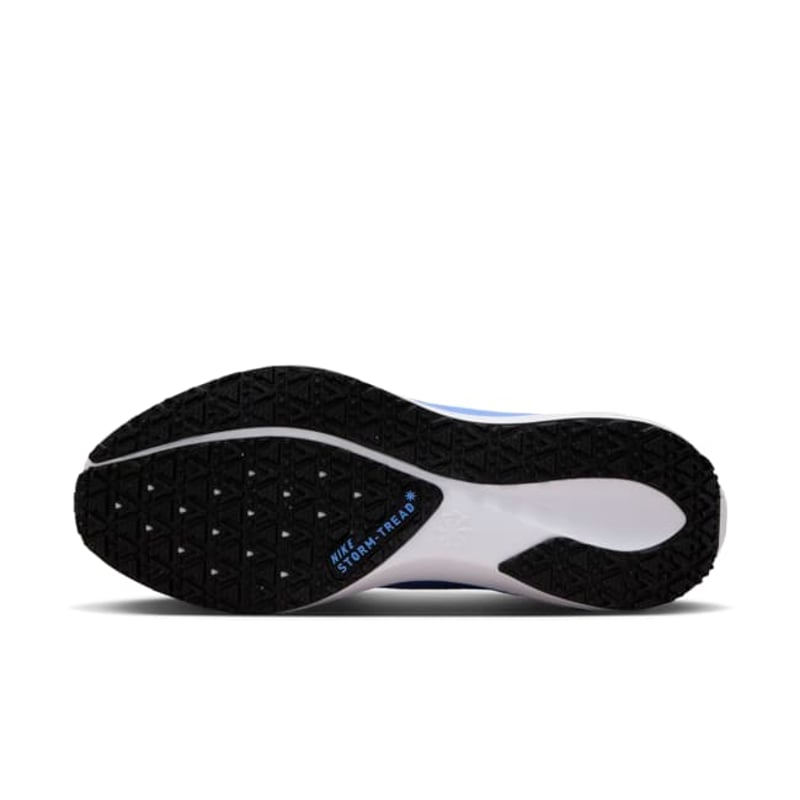 Nike Pegasus 41 GORE-TEX FQ1357-400 02