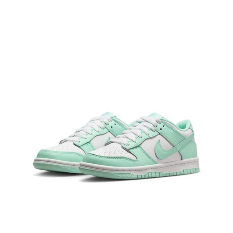 Nike Dunk Low FZ3534-100 05