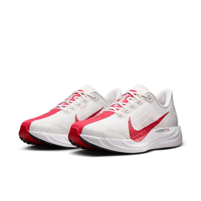 Nike Pegasus Plus FQ7262-003 05