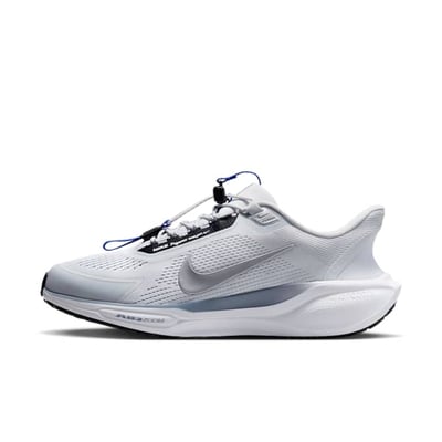 Nike Pegasus EasyOn FQ7837-003 01