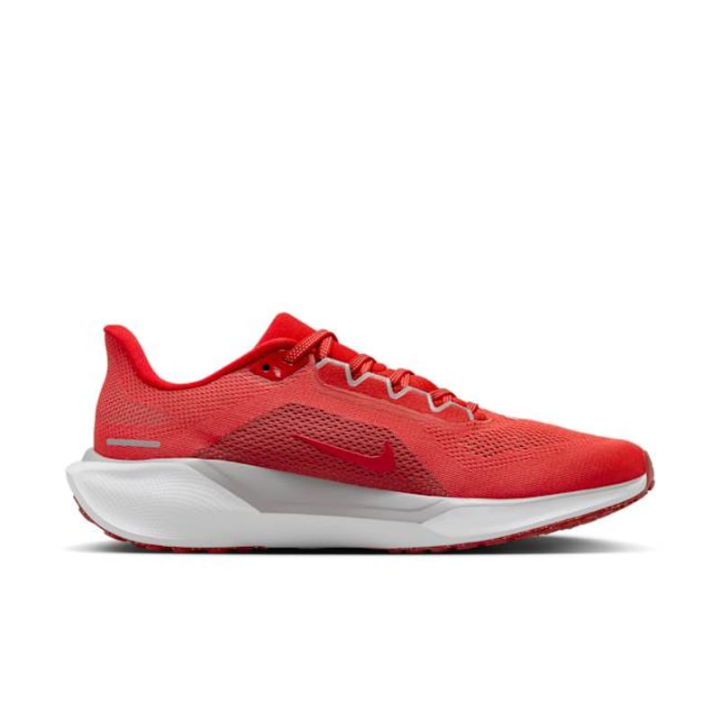Nike Pegasus 41 FZ5135-600 03