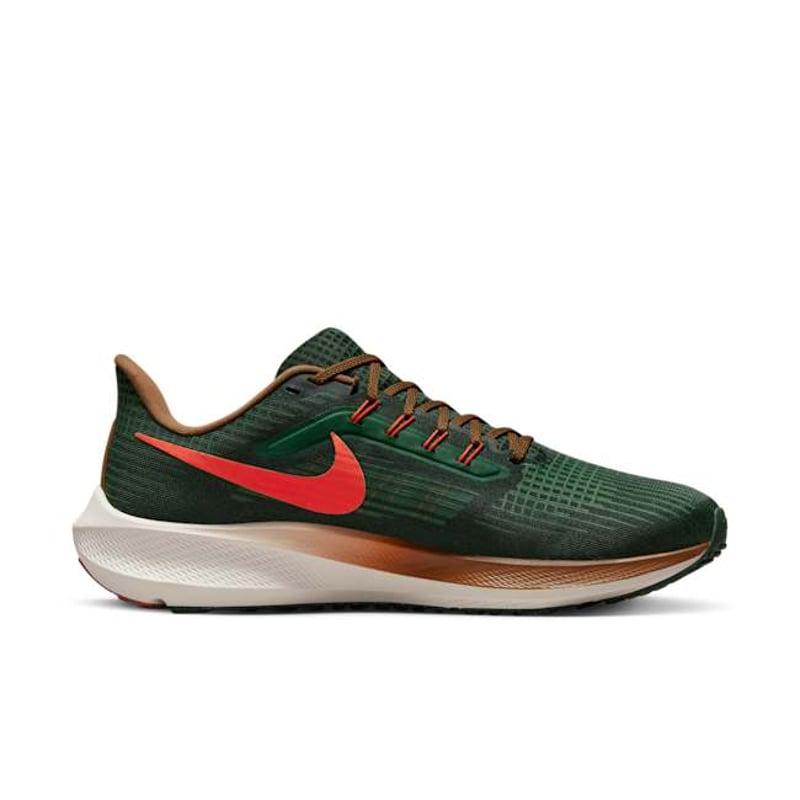 Nike Air Zoom Pegasus 39 A.I.R. Hola Lou DO9500-300 03