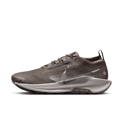 Nike Pegasus Trail 5 GORE-TEX FQ0908-012