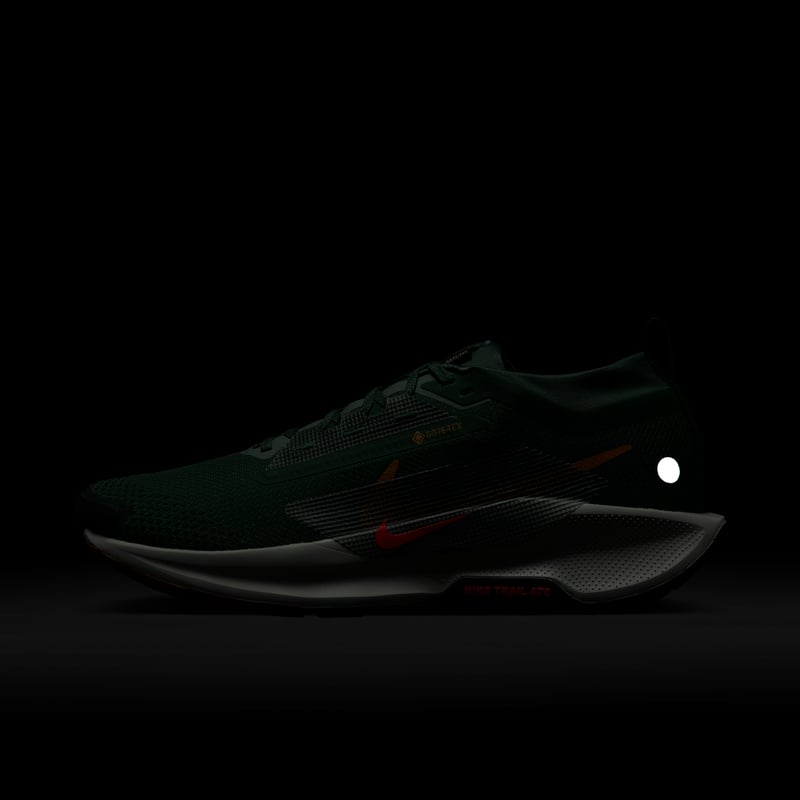 Nike Pegasus Trail 5 GORE-TEX FQ0908-301 11