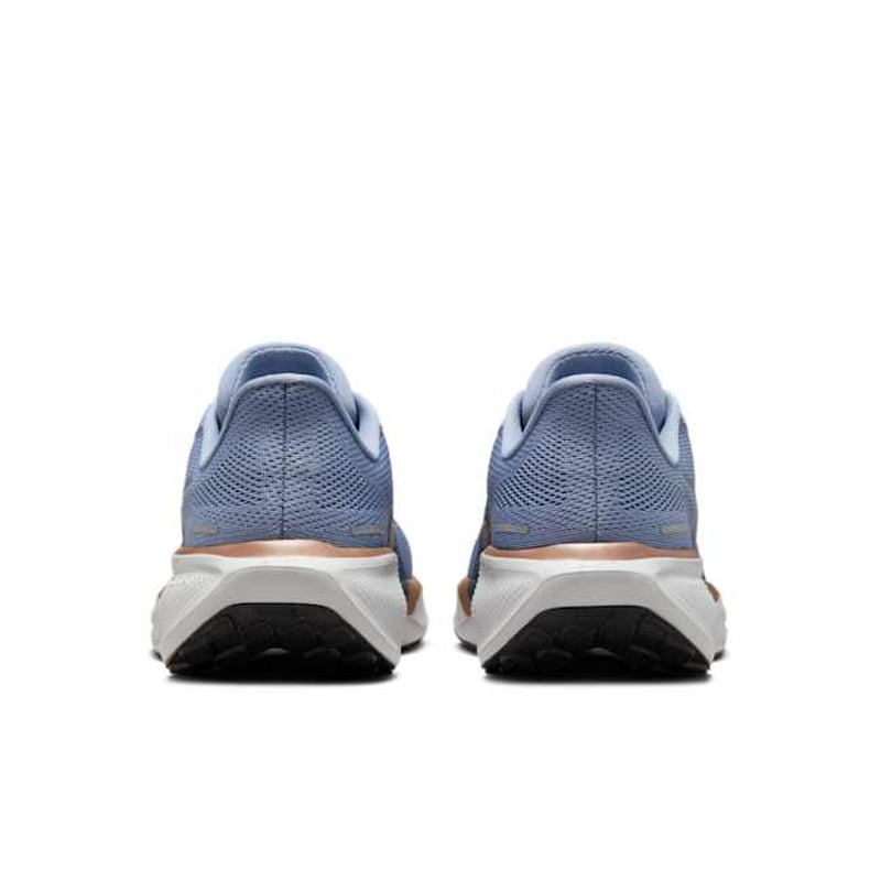 Nike Pegasus 41 (Extra Wide) FQ0965-403 06