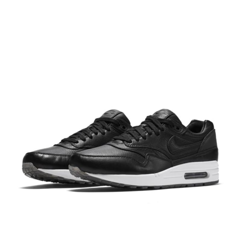 Nike Air Max 1 Pinnacle 859554-001 05