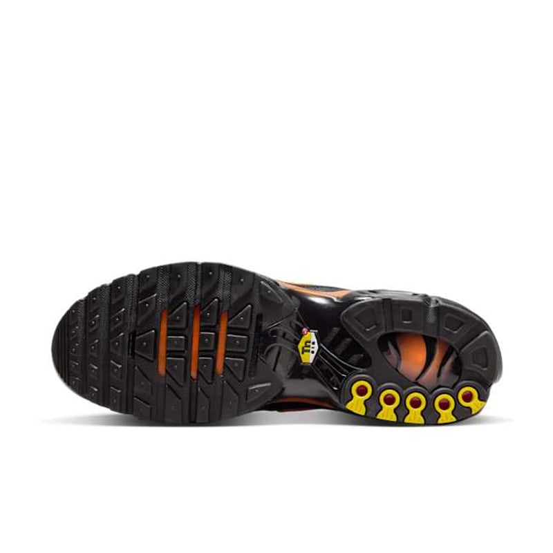 Nike Air Max Plus DM0032-025 02