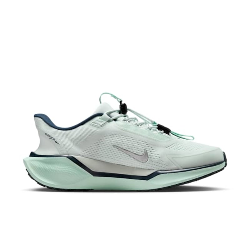 Nike Pegasus EasyOn FQ7844-400 03