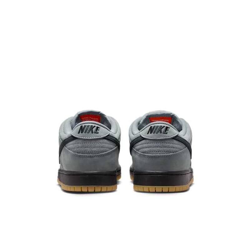 Nike SB Dunk Low Pro FJ1674-002 06