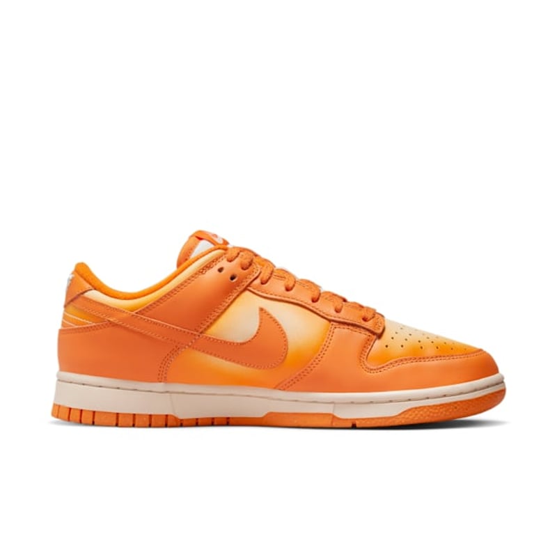 Nike Dunk Low DX2953-800 03