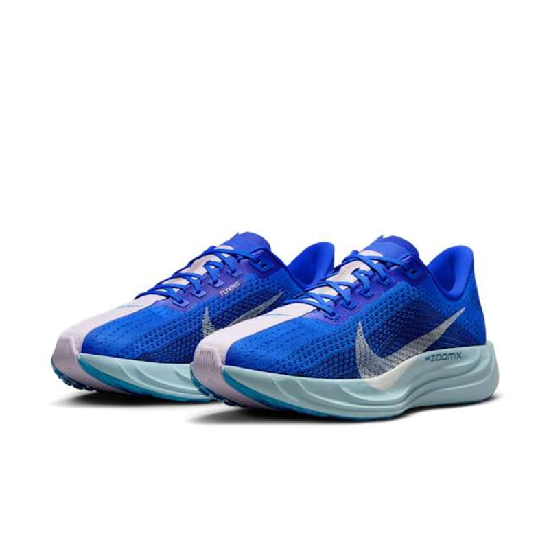 Nike Pegasus Plus HQ1719-400 05