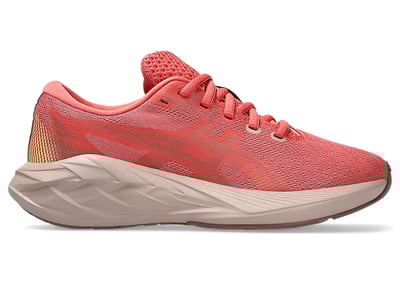 ASICS Novablast 5 1014A367-700