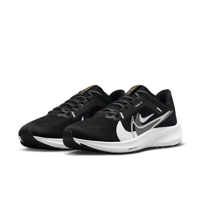 Nike Pegasus 40 Premium FB7179-001 05