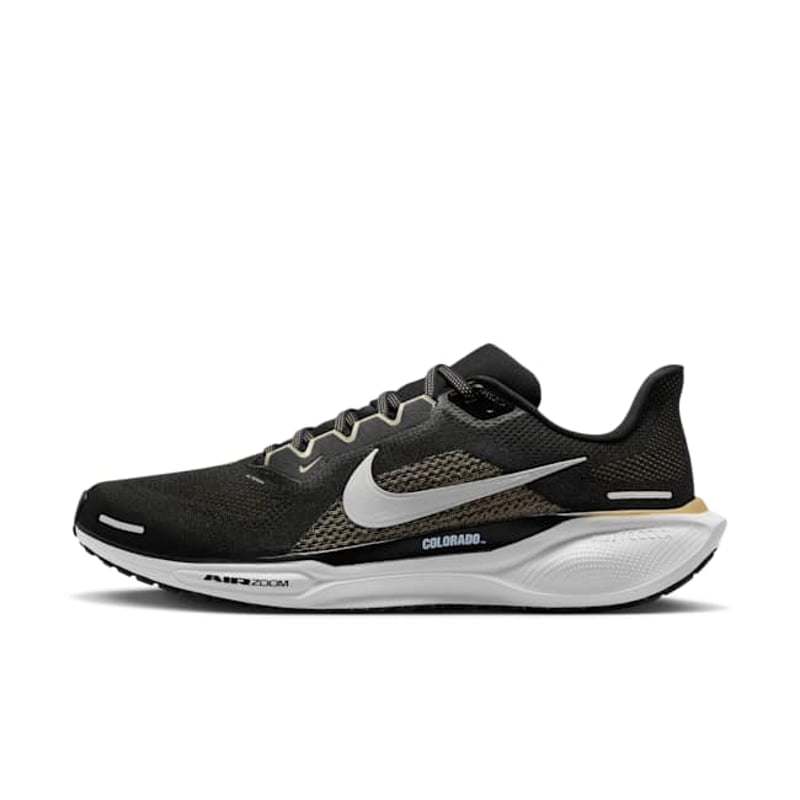 Nike Pegasus 41 FZ5109-001 01