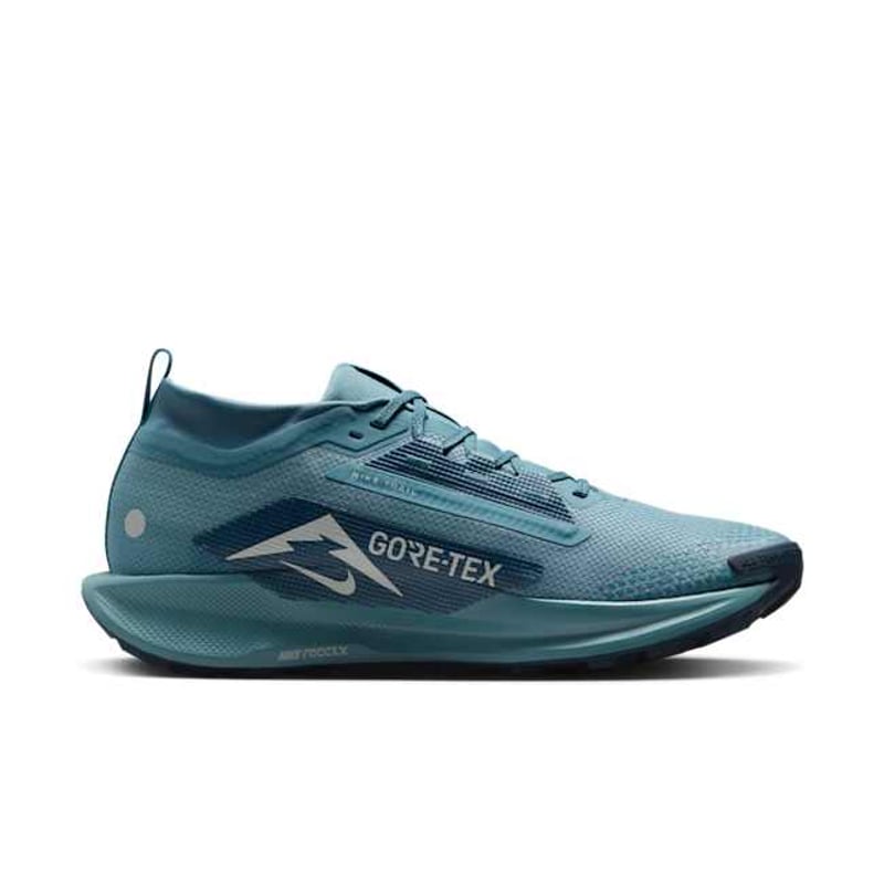 Nike Pegasus Trail 5 GORE-TEX FQ0908-005 03