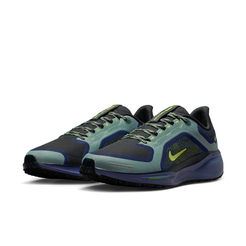 Nike Pegasus 41 GORE-TEX FQ1356-006 05