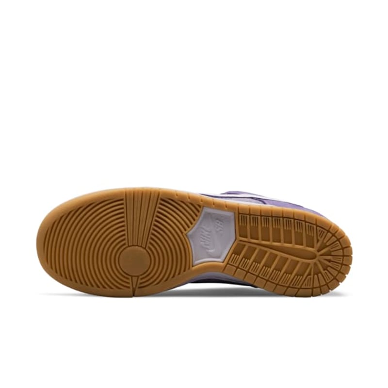 Nike SB Dunk Low DA9658-500 02
