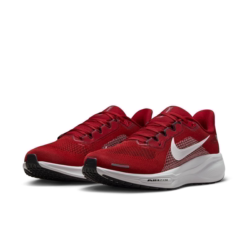Nike Pegasus 41 IB3191-600 05
