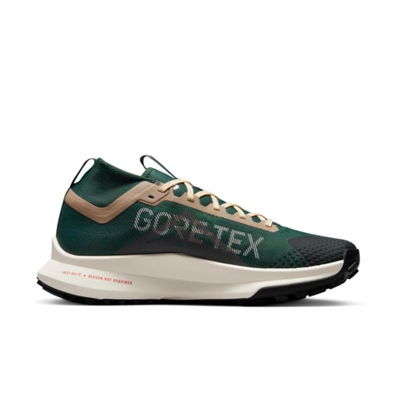 Nike Pegasus Trail 4 GORE-TEX FD0317-333 03