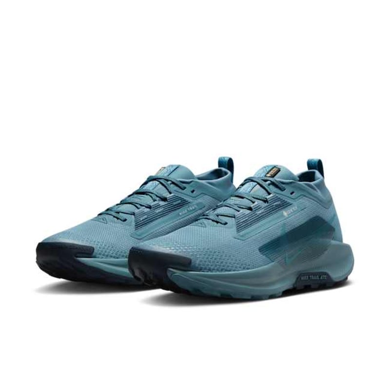 Nike Pegasus Trail 5 GORE-TEX FQ0908-005 05