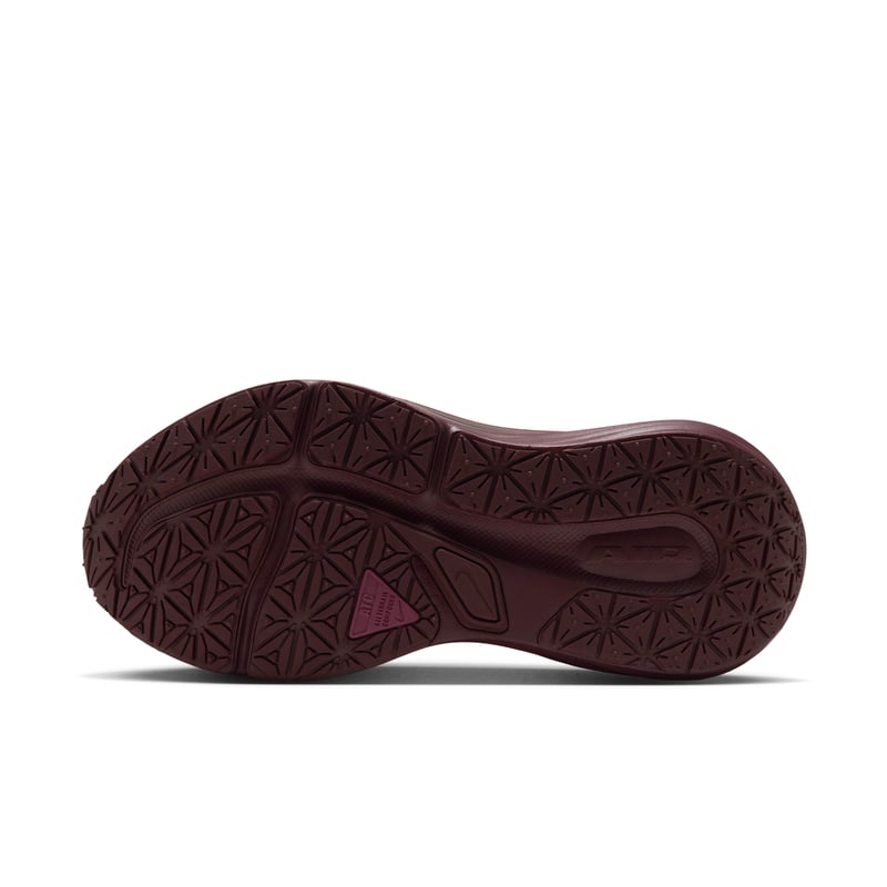 Παπούτσια Nike Winflo 12 GORE-TEX "Pink Smoke & Mystic Dates" | Γυναίκες | Τρέξιμο | 02 | SPORTSHOWROOM