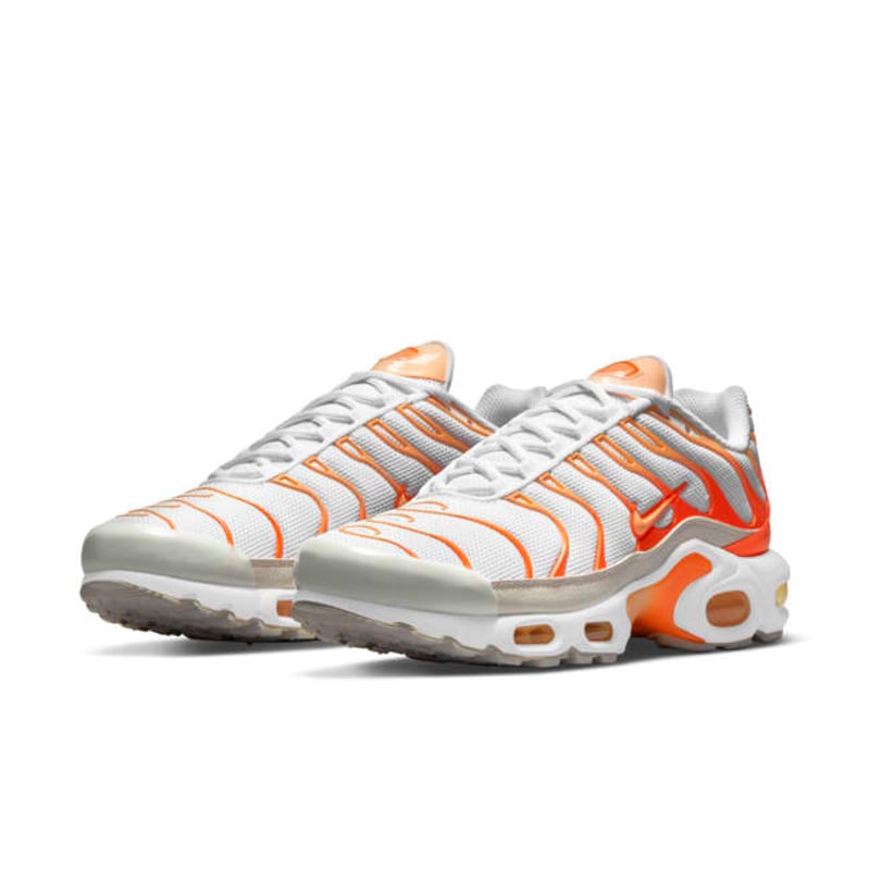 Nike Air Max Plus DM3033-100 05