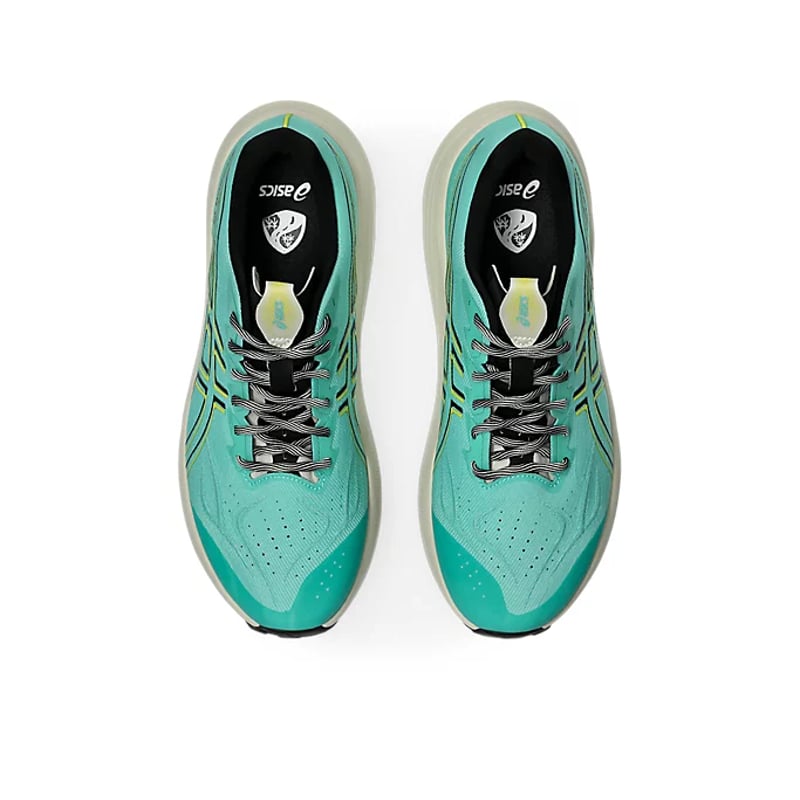 ASICS GT-2000 14 TR 1011C219-300 06