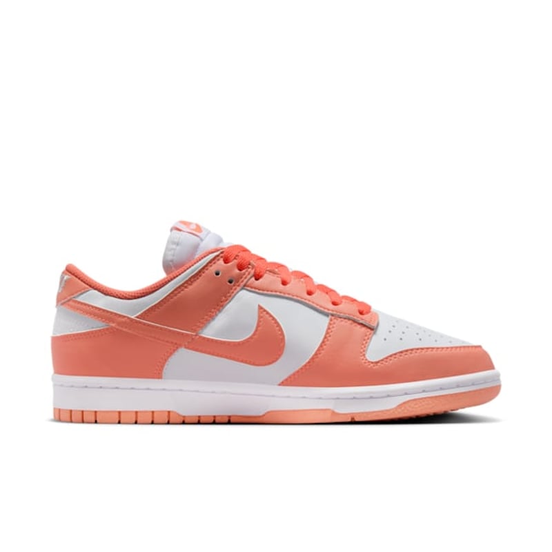 Nike Dunk Low DD1873-109 03