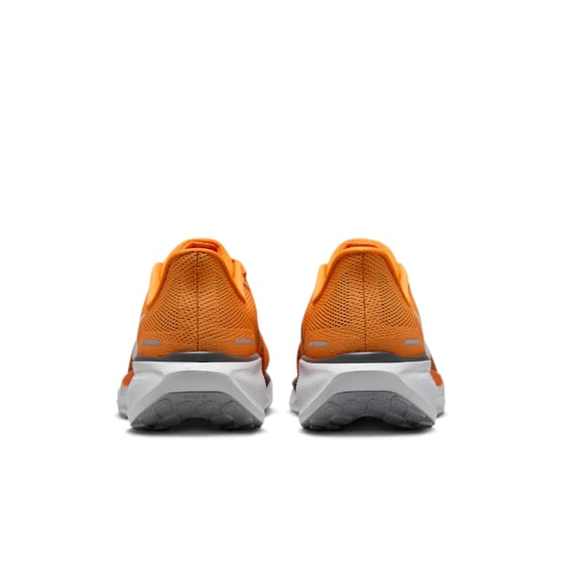 Nike Pegasus 41 FZ5144-800 06