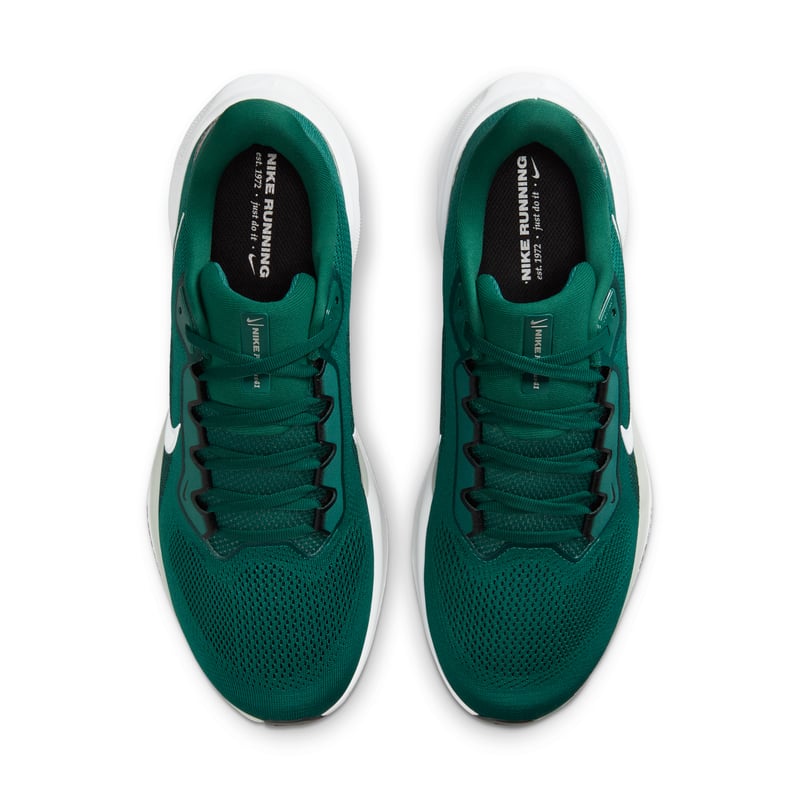 Nike Pegasus 41 x NFL IB3215-300 04