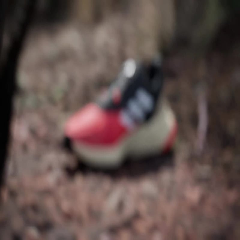 adidas Terrex Soulstride IF5011 02