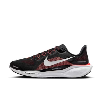 Nike Pegasus 41 FZ5139-001