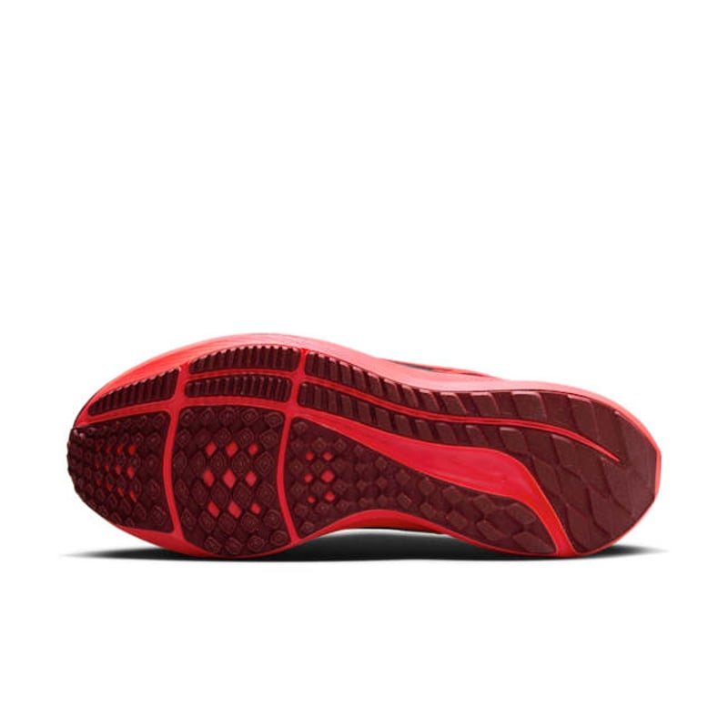 Nike Pegasus 40 DV3854-200 02