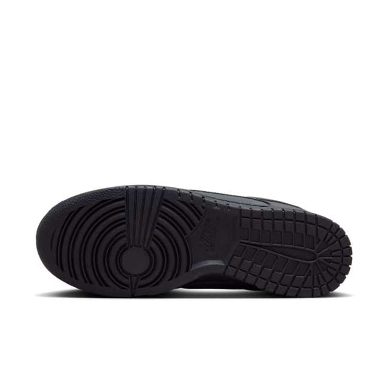 Nike Dunk Low FZ3781-060 02