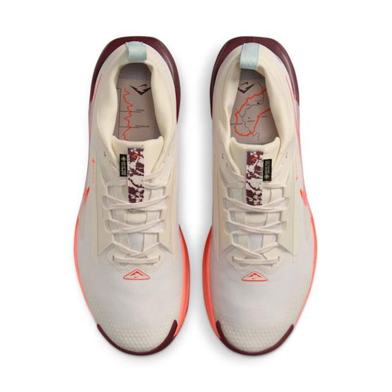 Nike Pegasus Trail 5 GORE-TEX FQ0908-104 04